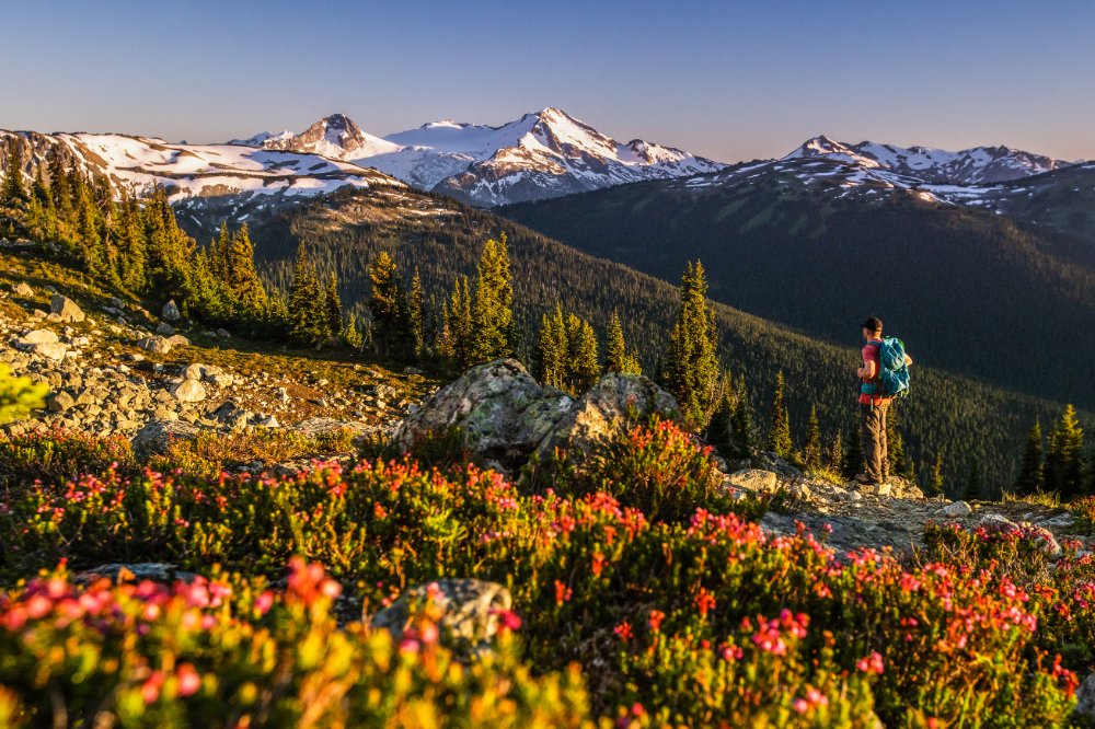 5 Reasons Why Whistler Is Your Perfect Summer Getaway