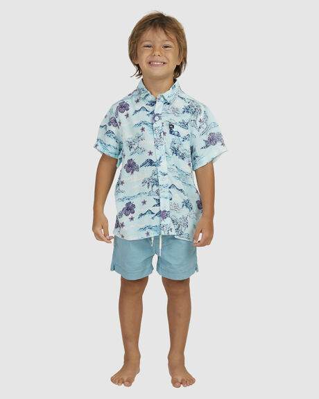 ICE BLUE SUNSET ART KIDS BOYS QUIKSILVER TOPS - UQKWT03002-GCZ6
