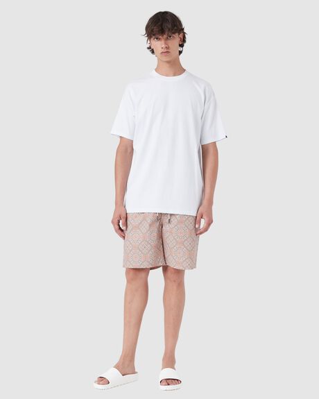 TANZAN MENS CLOTHING BARNEY COOLS BOARDSHORTS - 810-Q123-30