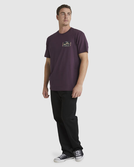 FIG MENS CLOTHING BILLABONG GRAPHIC TEES - UBYZT00384-FIG