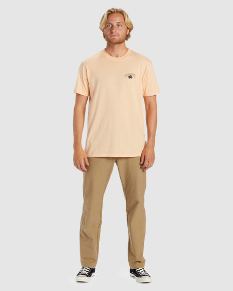 DUSTY MELON MENS CLOTHING BILLABONG GRAPHIC TEES - ABYZT01917-DTM