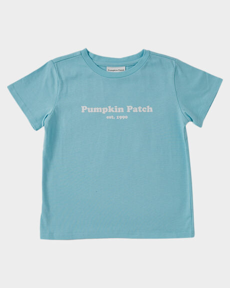 PALE BLUE KIDS BOYS PUMPKIN PATCH TOPS - 20TB8027TPPPLBLU
