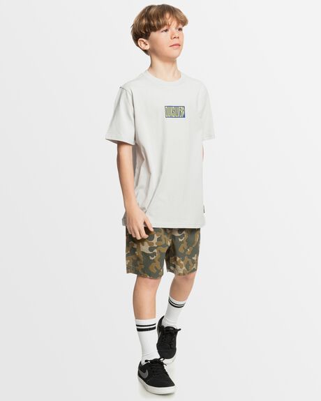 GRAY VIOLET KIDS YOUTH BOYS QUIKSILVER T-SHIRTS + SINGLETS - UQBZT03441-SFV0