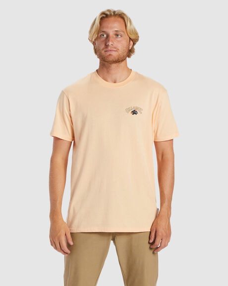 DUSTY MELON MENS CLOTHING BILLABONG GRAPHIC TEES - ABYZT01917-DTM