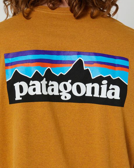 DRIED MANGO MENS CLOTHING PATAGONIA T-SHIRTS + SINGLETS - 38504-DMGO-XS