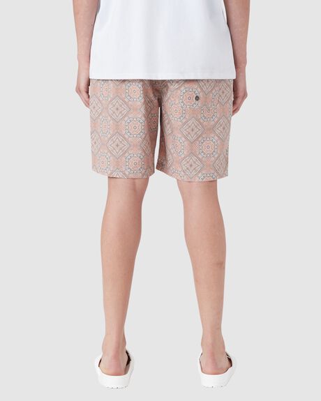 TANZAN MENS CLOTHING BARNEY COOLS BOARDSHORTS - 810-Q123-30