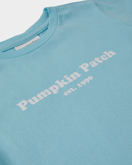 PALE BLUE KIDS BOYS PUMPKIN PATCH TOPS - 20TB8027TPPPLBLU