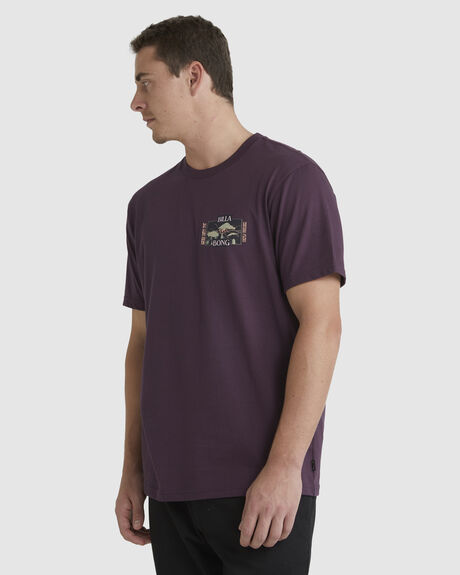 FIG MENS CLOTHING BILLABONG GRAPHIC TEES - UBYZT00384-FIG