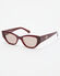 BLOOD POLISHED BROWN