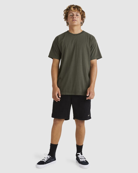 SEAWEED MENS CLOTHING BILLABONG T-SHIRTS + SINGLETS - UBYZT00686-SWD