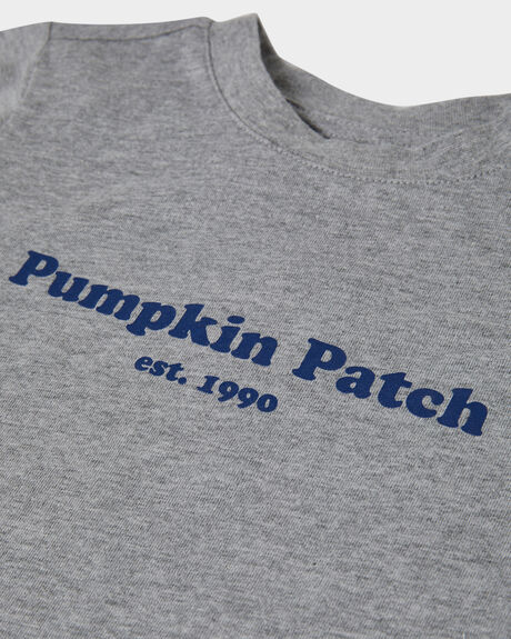 GREY MARLE KIDS BOYS PUMPKIN PATCH T-SHIRTS + SINGLETS - 20TB8027TPPGRM