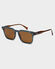 CIRUS VIBRANT BROWN