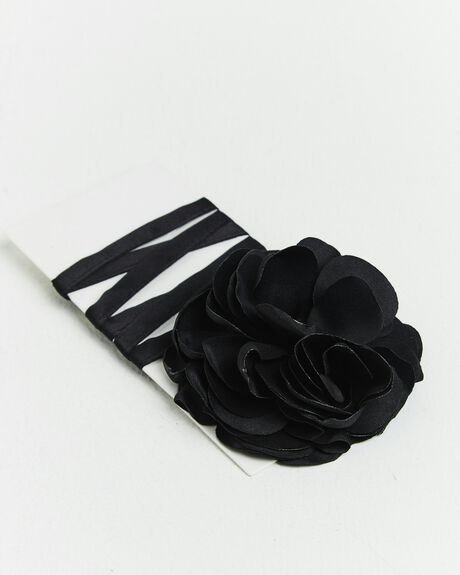 BLACK WOMENS ACCESSORIES ALICE IN THE EVE OTHER - 1000104475-BLK-ONE