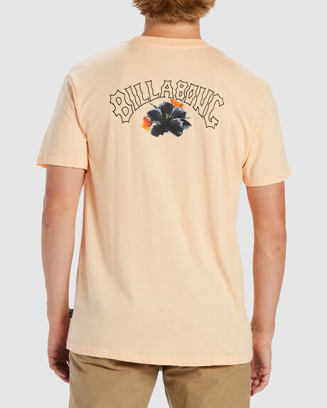 DUSTY MELON MENS CLOTHING BILLABONG GRAPHIC TEES - ABYZT01917-DTM
