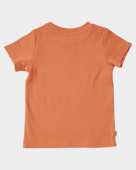PEACH KIDS GIRLS PUMPKIN PATCH TOPS - 20TG8026TSPCH