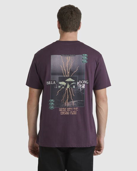 FIG MENS CLOTHING BILLABONG GRAPHIC TEES - UBYZT00384-FIG
