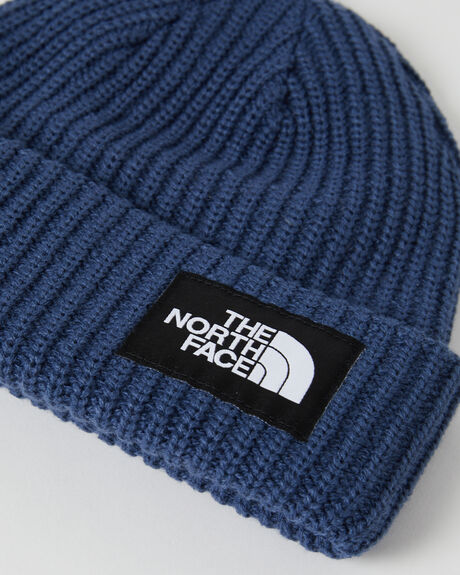 SHADY BLUE SNOW ACCESSORIES THE NORTH FACE BEANIES - NF0A7WG8HDC
