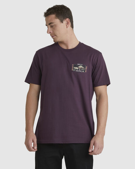 FIG MENS CLOTHING BILLABONG GRAPHIC TEES - UBYZT00384-FIG