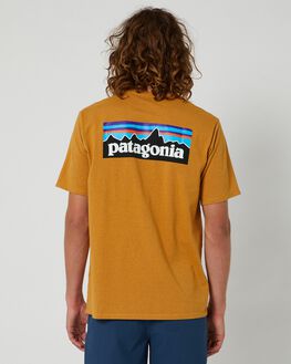 Patagonia t shirts sale sales