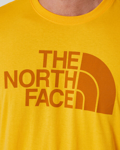 SUMMIT GOLD MENS CLOTHING THE NORTH FACE T-SHIRTS + SINGLETS - NF0A812MAAO