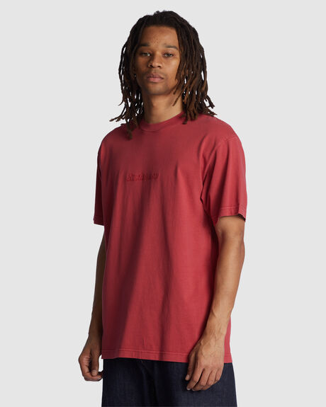 EARTH RED ENZYME MENS CLOTHING DC SHOES GRAPHIC TEES - ADYZT05230-MPNW