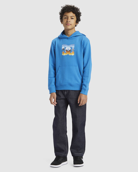 FRENCH BLUE KIDS YOUTH BOYS DC SHOES JUMPERS + HOODIES - ADBSF03042-BNM0