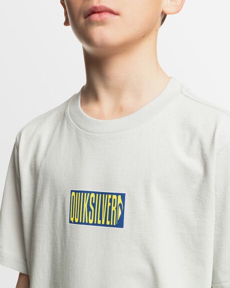GRAY VIOLET KIDS YOUTH BOYS QUIKSILVER T-SHIRTS + SINGLETS - UQBZT03441-SFV0