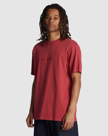 EARTH RED ENZYME MENS CLOTHING DC SHOES T-SHIRTS + SINGLETS - ADYZT05230-MPNW
