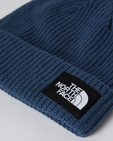 SHADY BLUE MENS ACCESSORIES THE NORTH FACE HEADWEAR - NF0A3FJWHDC