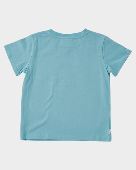 PALE BLUE KIDS BOYS PUMPKIN PATCH TOPS - 20TB8027TPPPLBLU