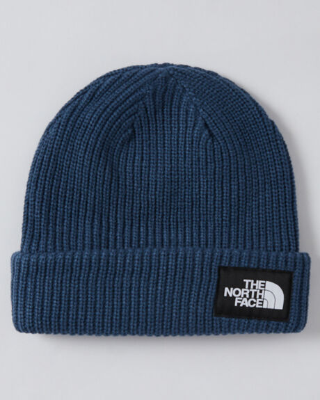 SHADY BLUE MENS ACCESSORIES THE NORTH FACE HEADWEAR - NF0A3FJWHDC