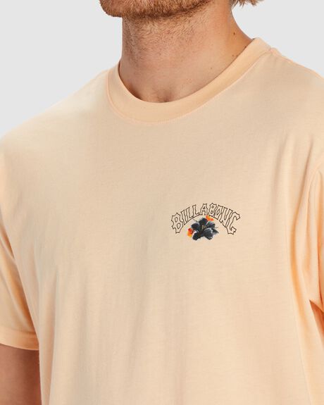 DUSTY MELON MENS CLOTHING BILLABONG GRAPHIC TEES - ABYZT01917-DTM
