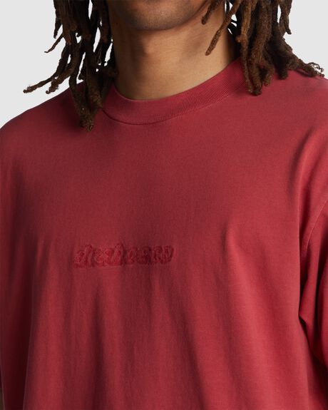 EARTH RED ENZYME MENS CLOTHING DC SHOES GRAPHIC TEES - ADYZT05230-MPNW