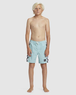 Boys quicksilver shorts store