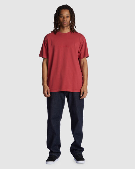EARTH RED ENZYME MENS CLOTHING DC SHOES GRAPHIC TEES - ADYZT05230-MPNW
