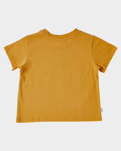 HONEY KIDS BOYS PUMPKIN PATCH T-SHIRTS + SINGLETS - P2222004HNY