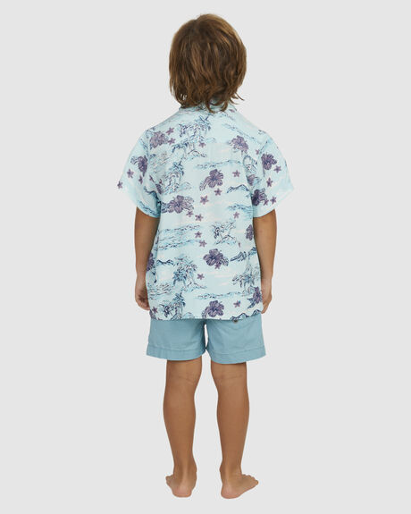 ICE BLUE SUNSET ART KIDS BOYS QUIKSILVER TOPS - UQKWT03002-GCZ6