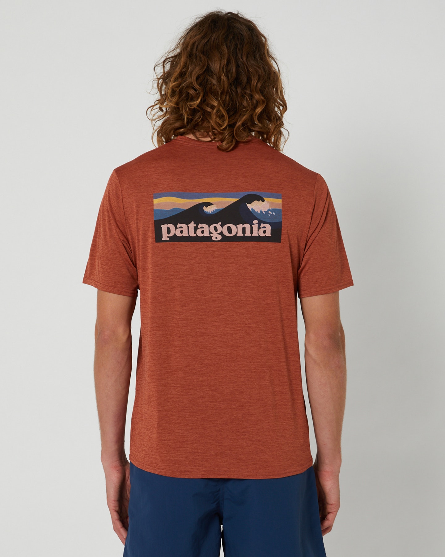 Patagonia clearance graphic tee