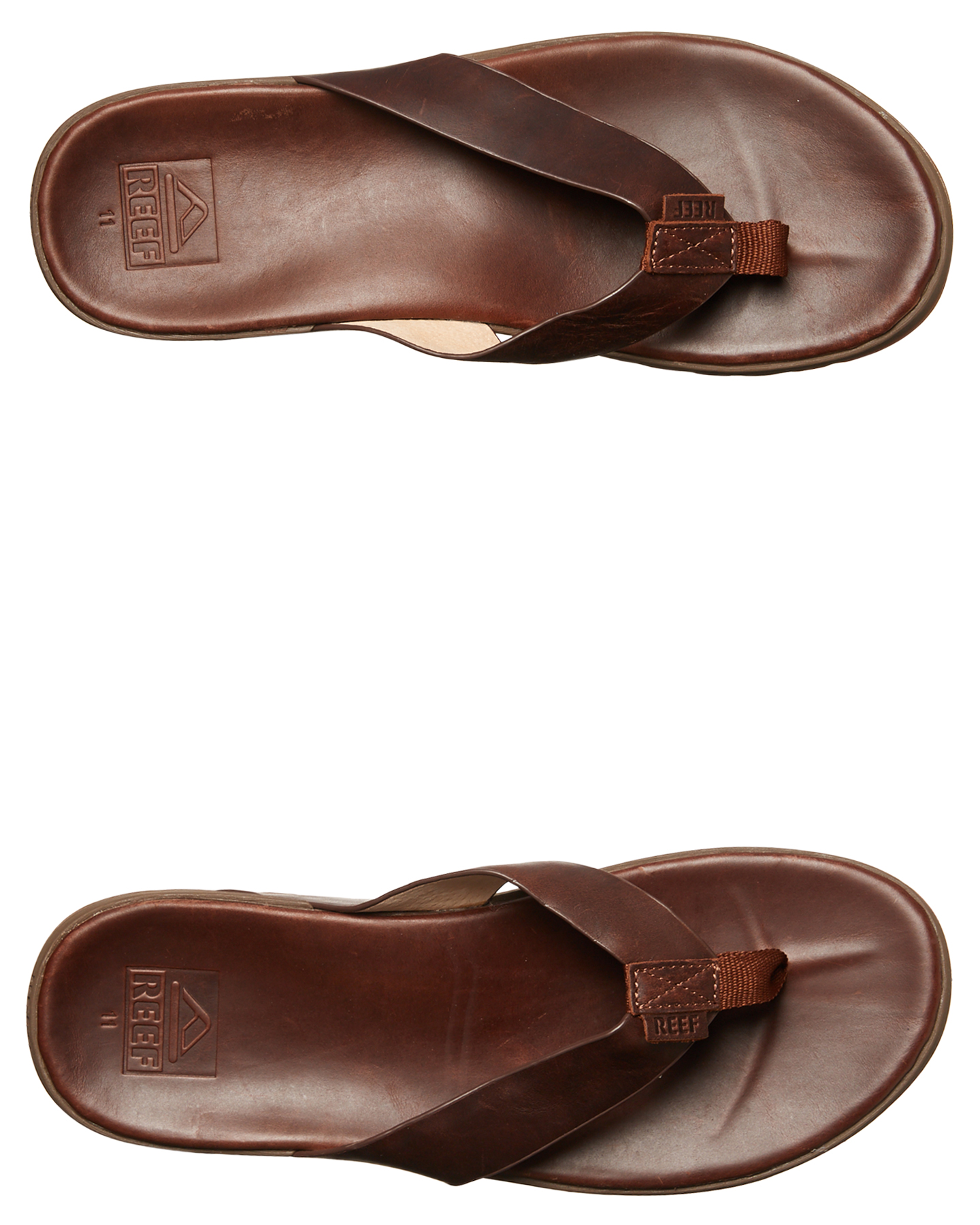 Reef sales contoured voyage