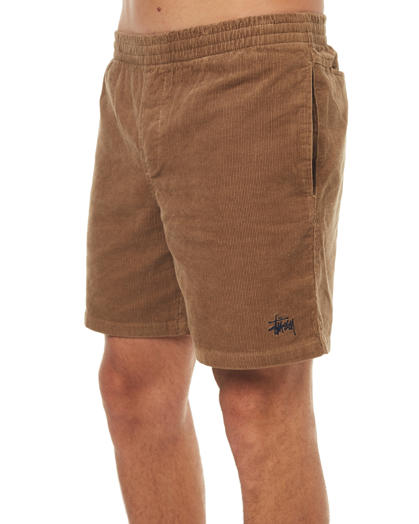 stussy track shorts