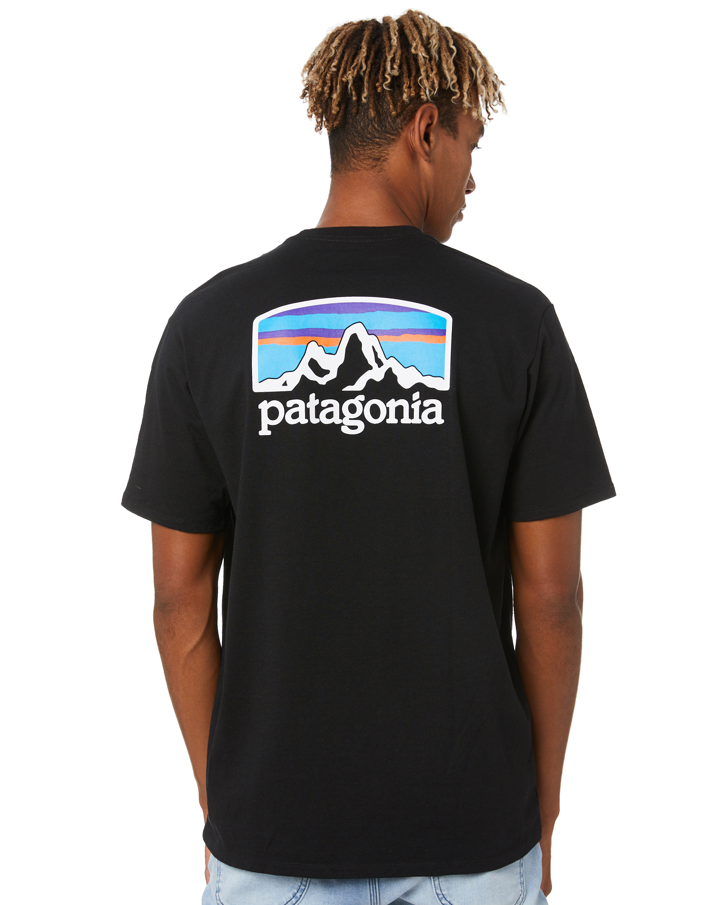 Patagonia Fitz Roy Horizons Responsibili Mens Tee - Black | SurfStitch