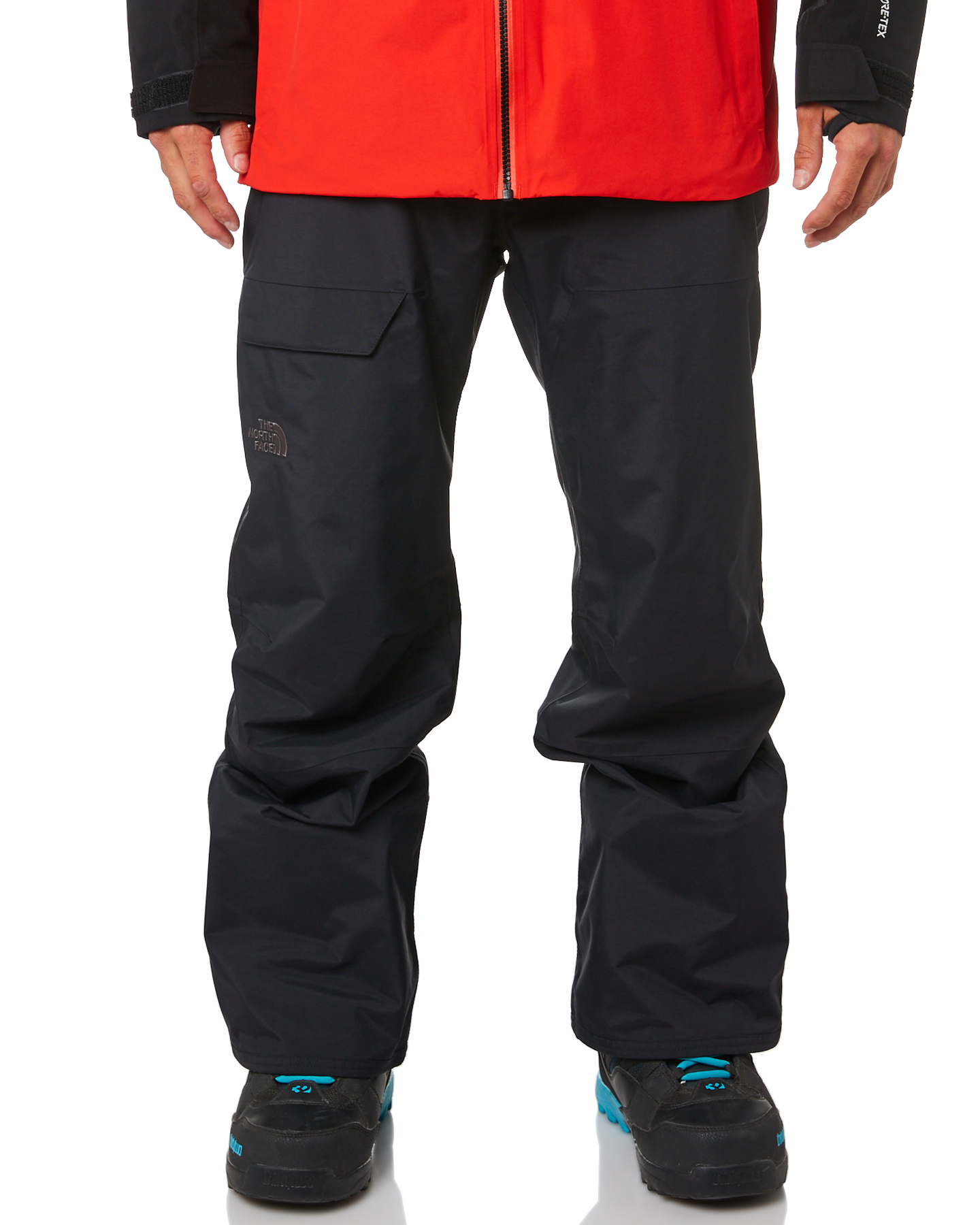 the north face men's seymore pant