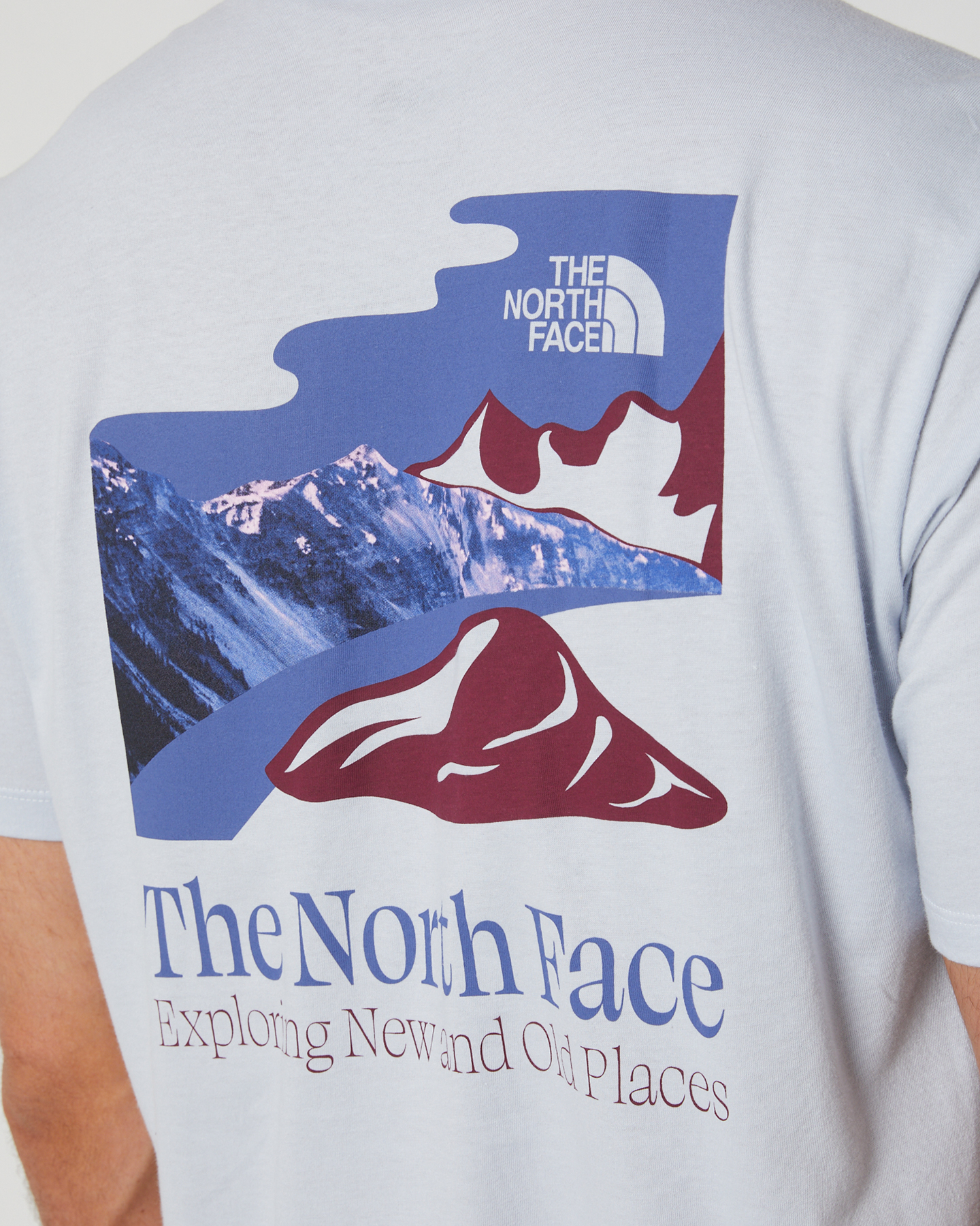 The North Periwinkle Short-Sleeve Love Mens Face | SurfStitch Dusty We Tee - Places