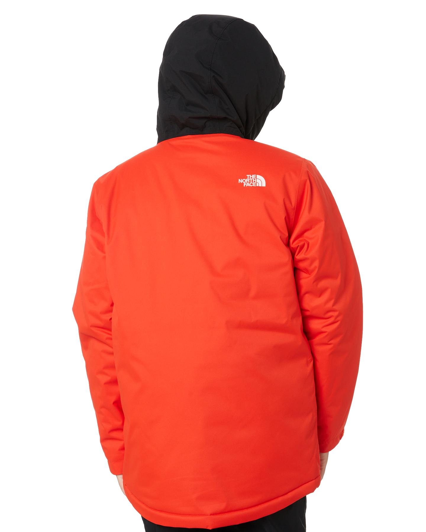 north face freedom jacket