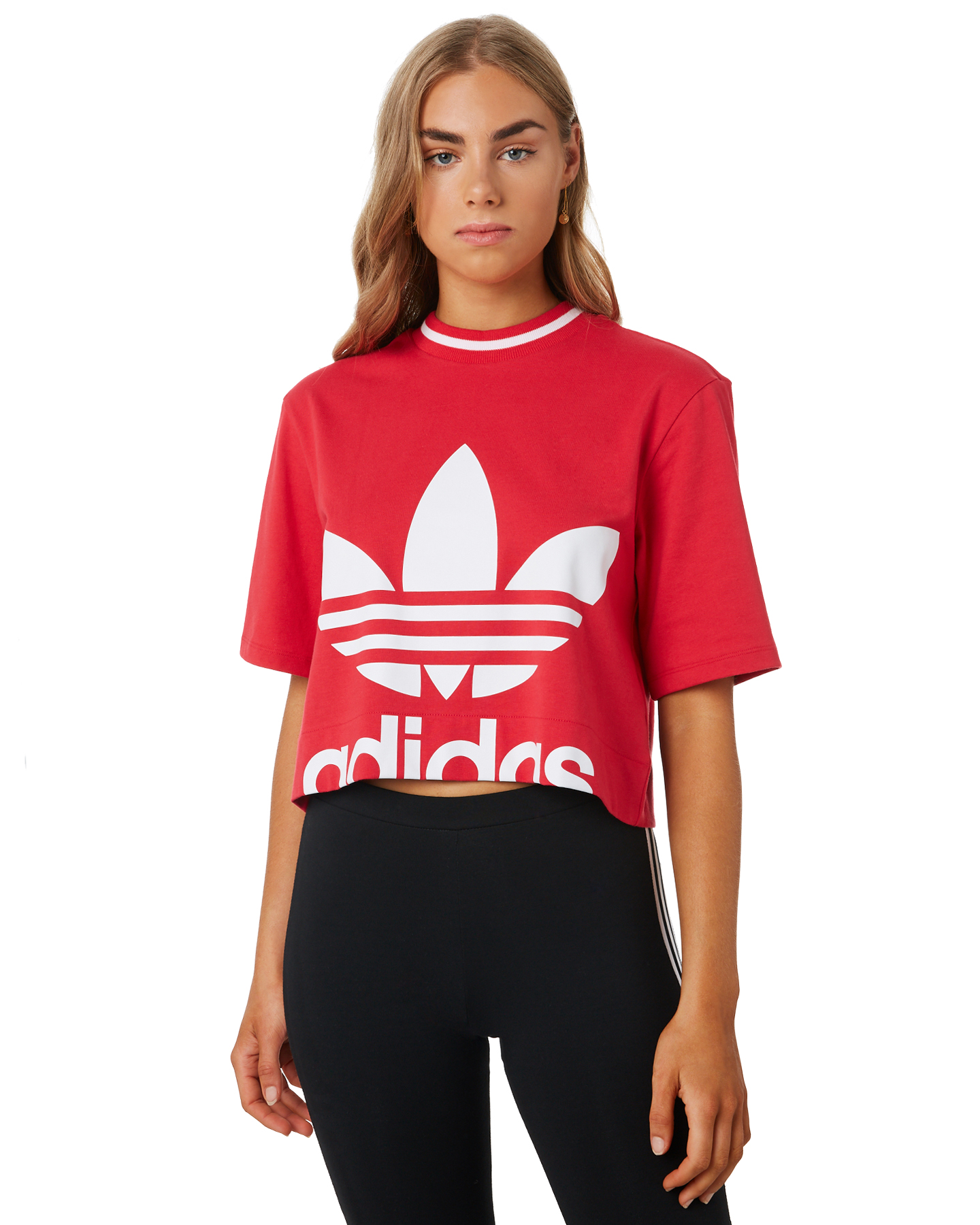 Adidas Womens Cropped Tee - Energy Pink | SurfStitch