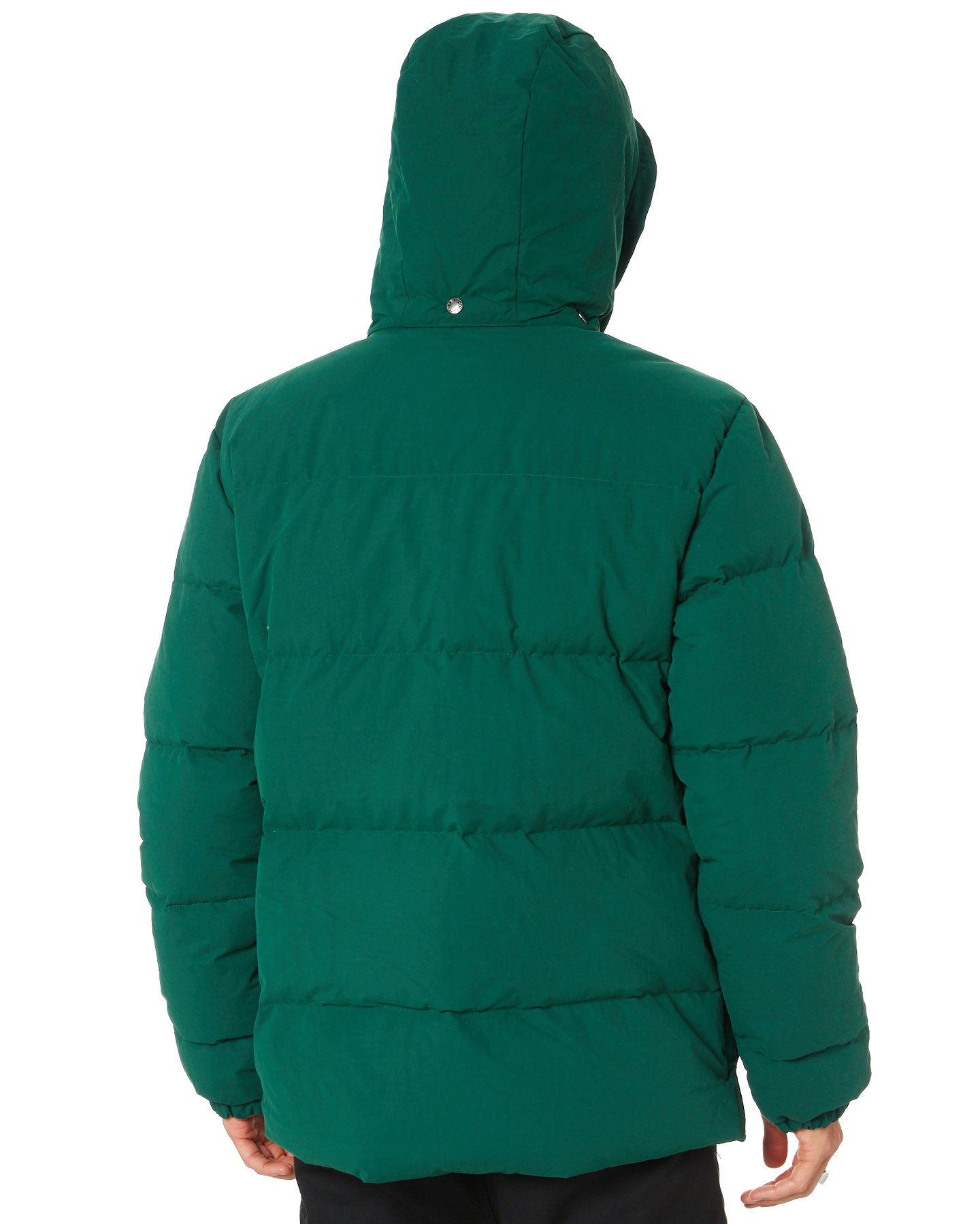 clothing the north face