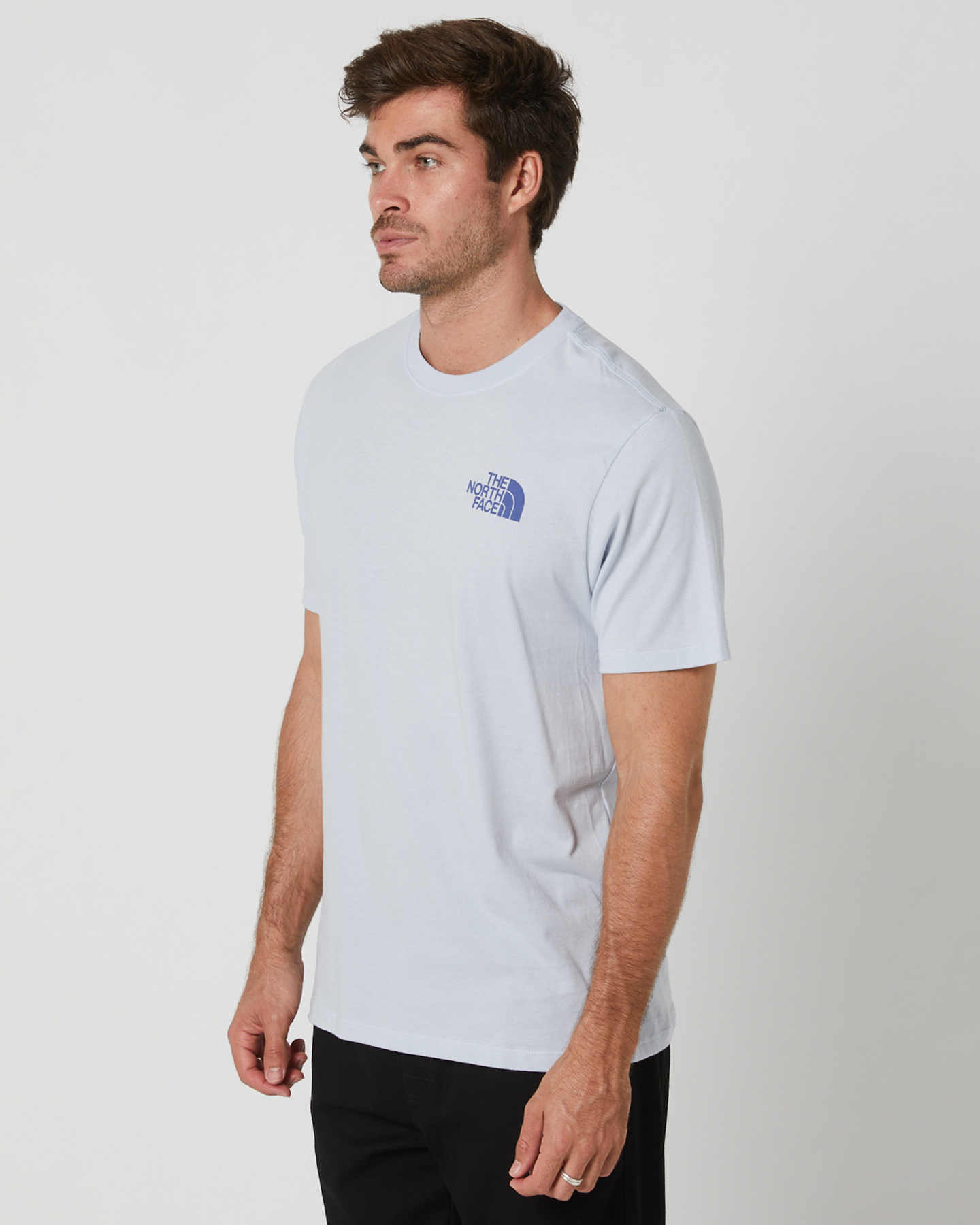 The North Face Mens Short-Sleeve Places We Love Tee - Dusty Periwinkle ...