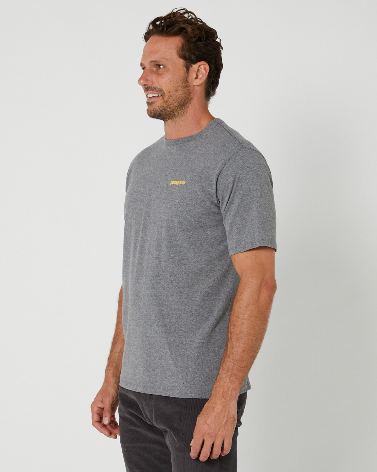 Grey patagonia t 2025 shirt