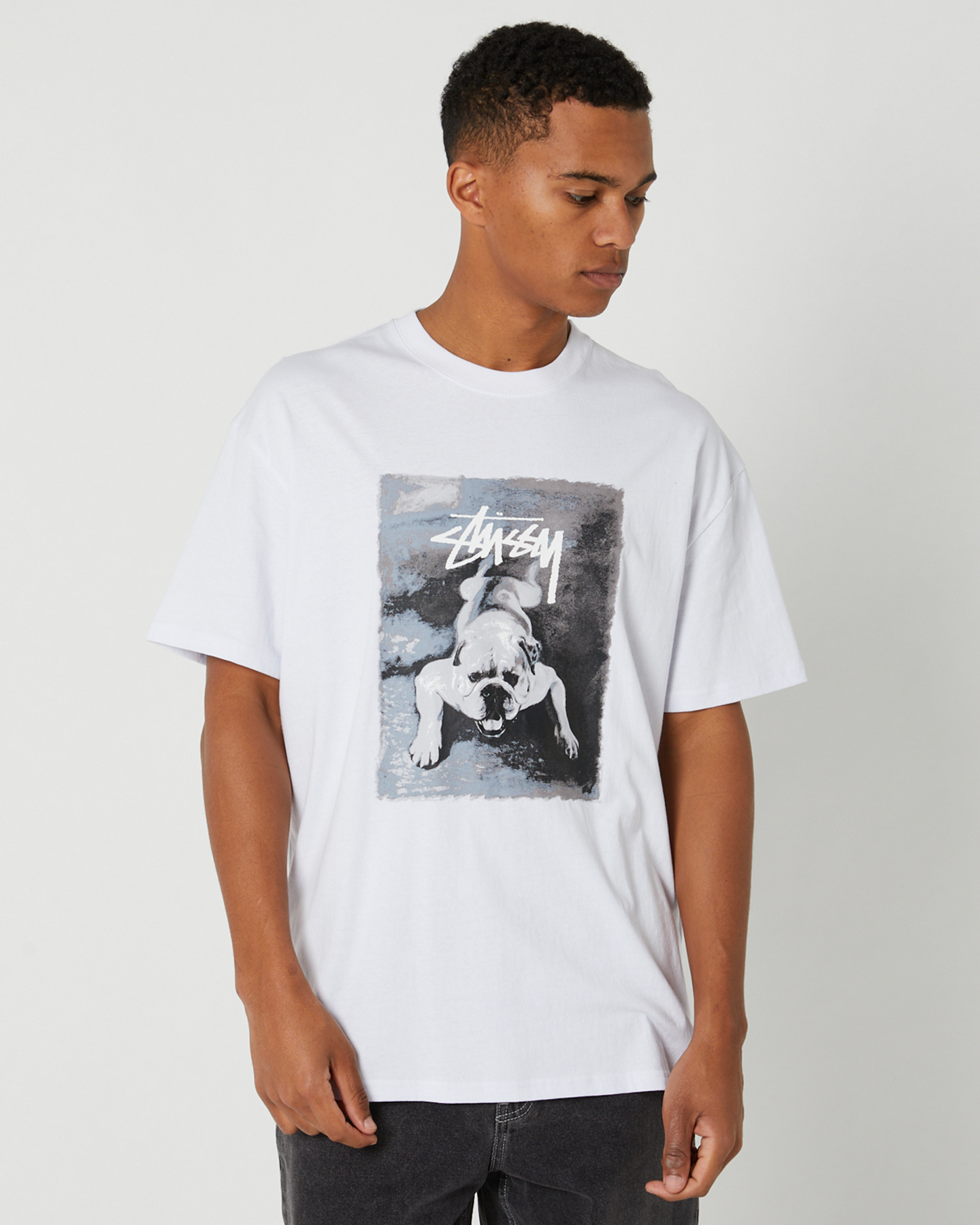 Stussy Bulldog Ss Tee - White | SurfStitch