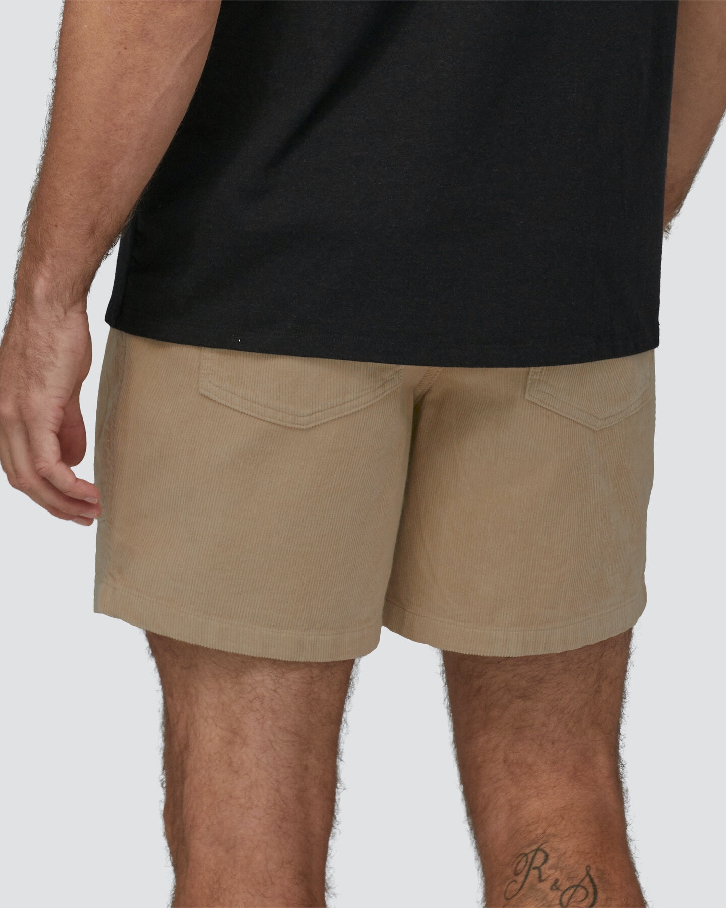 Patagonia organic cotton shorts online